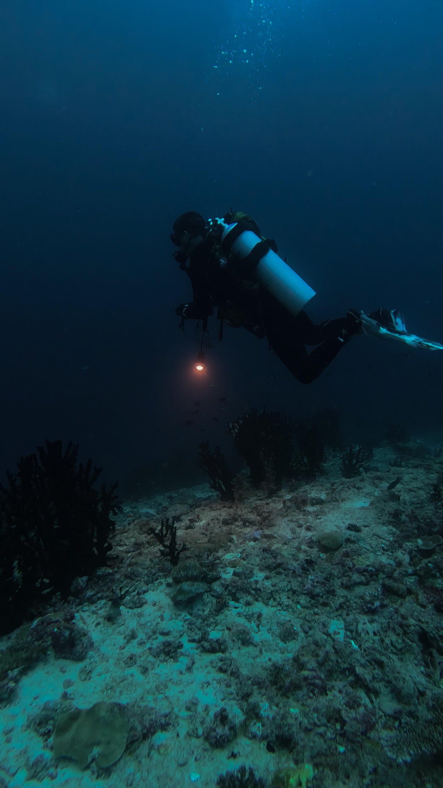Advanced Open Water Diver Course