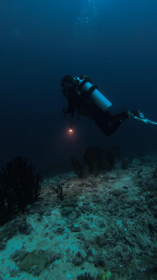 Advanced Open Water Diver Course